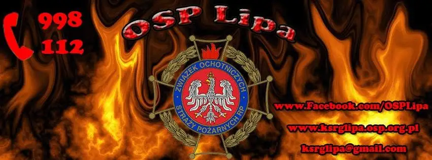 Pochylone drzewo nad drogą wojewódzką nr 178 – interwencja OSP Lipa