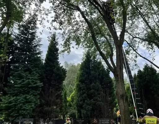 OSP Kamienica interweniowała w sprawie niebezpiecznej gałęzi na ul. Karpackiej