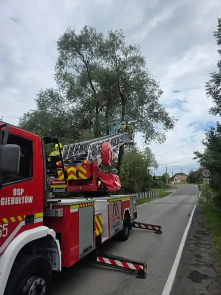 OSP Giebułtów pomagało w usuwaniu drzewa uszkodzonego przez piorun w Garlicy Duchownej