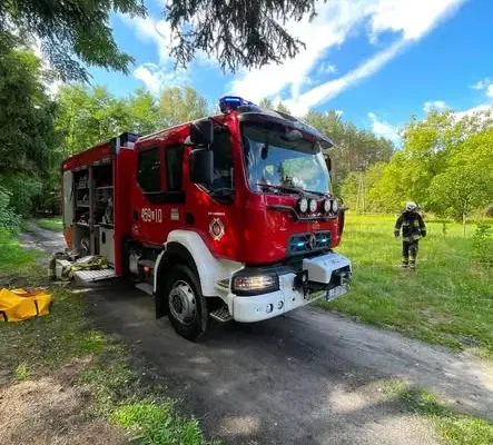 Strażacy z Kamionki interweniowali przy powalonym drzewie i gnieździe szerszeni