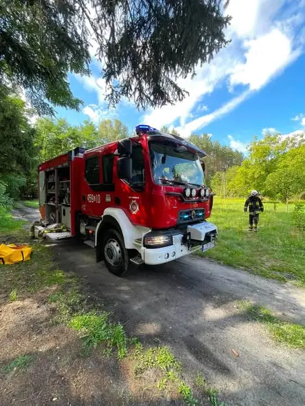 Strażacy z Kamionki interweniowali przy powalonym drzewie i gnieździe szerszeni