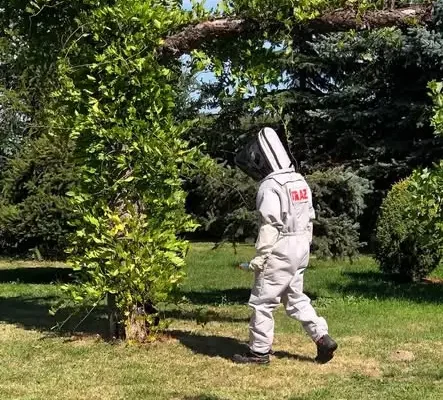 Usuwanie gniazda szerszeni w Siedliskach – interwencja OSP Kamionka