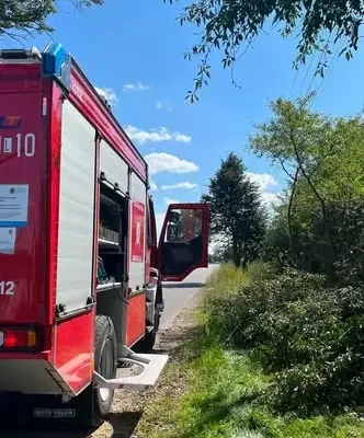Powalone drzewo zablokowało wjazd do budynków w Kamionce – interweniowała OSP