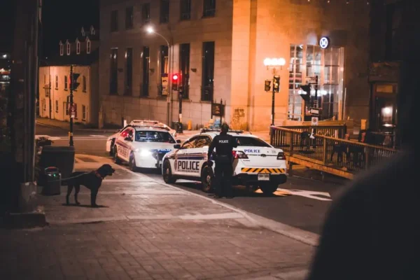 Policjanci z Książa Wielkiego uratowali porzuconego psa podczas nocnej służby