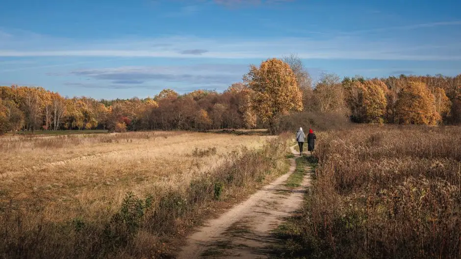 Pieszy rajd dookoła Miechowa – 29 km wyzwania i piękne widoki