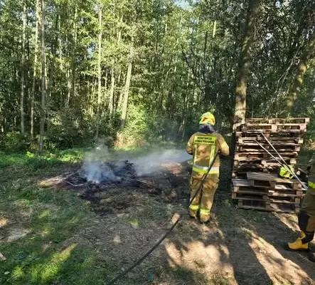Pożar dzikiego wysypiska w lesie – strażacy apelują o ostrożność
