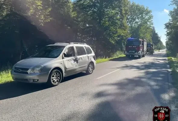 Kierzkówka: zderzenie auta z sarną. Interweniowały służby ratunkowe