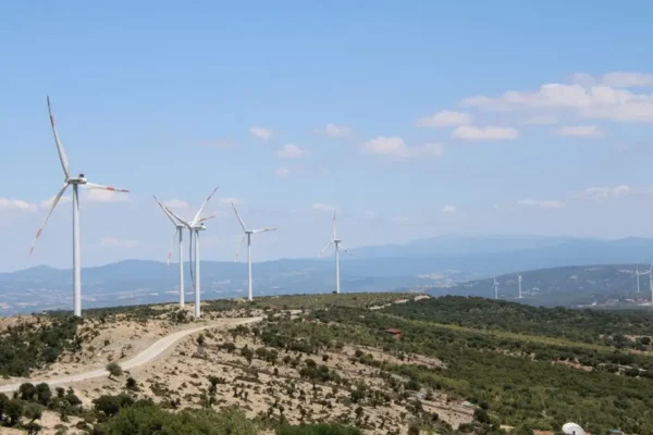 Edukacja klimatyczna na dożynkach w Bukowskiej Woli